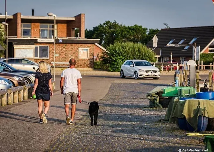 C11151-hemmet-kosigvaenget-68 * Hemmet